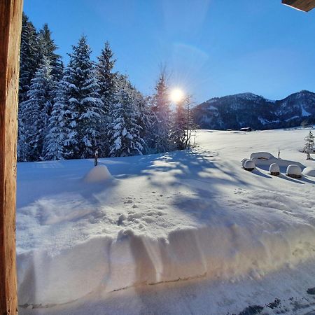 Zeitfrei Chalet Apartments フィーバーブルン エクステリア 写真