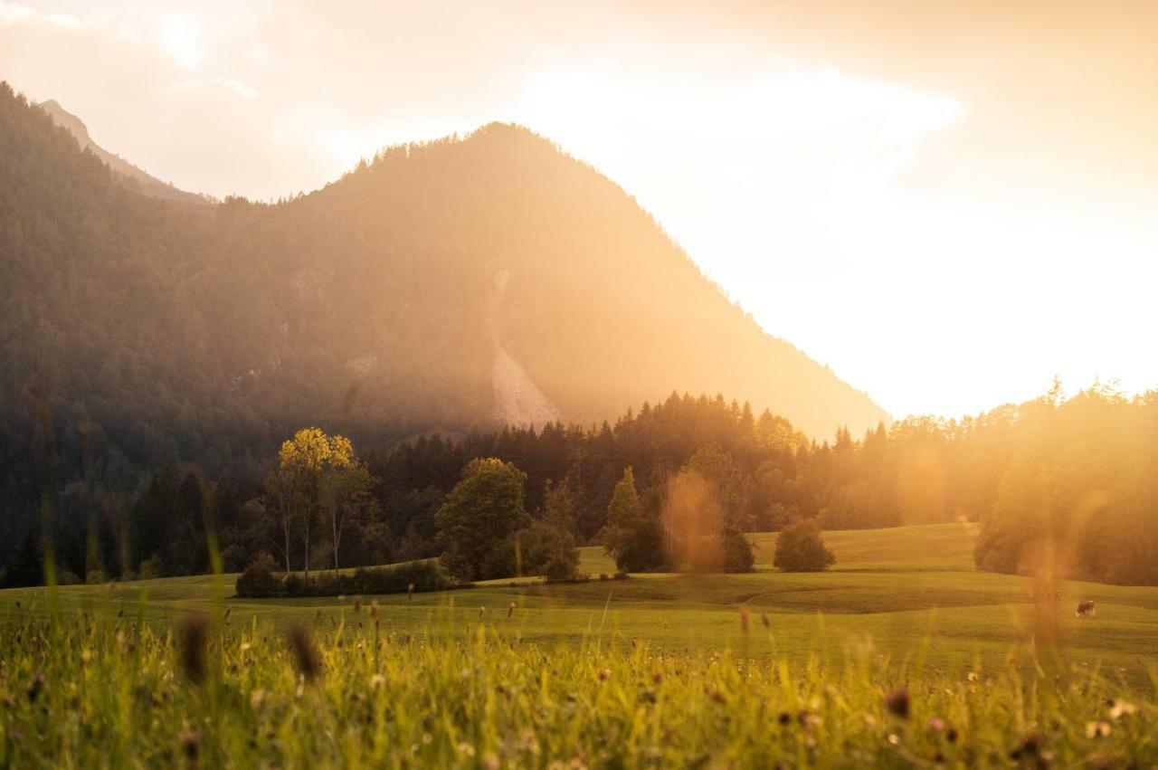 Zeitfrei Chalet Apartments フィーバーブルン エクステリア 写真